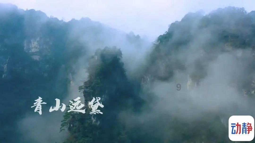 数数救伙伴