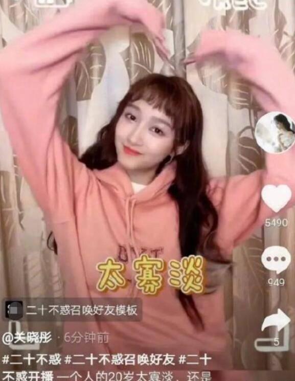 彼得比尔特379拼图